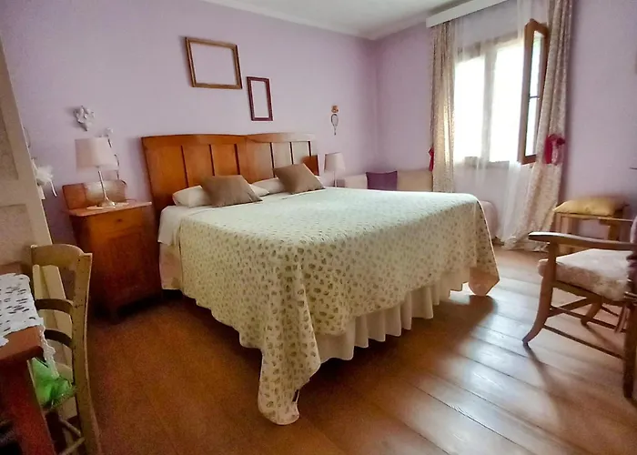 B&B Oltra